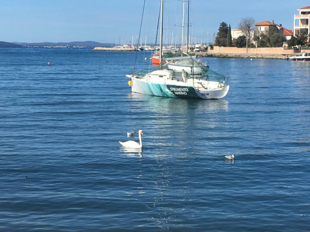 Croatian Home Apartments Zadar Bagian luar foto
