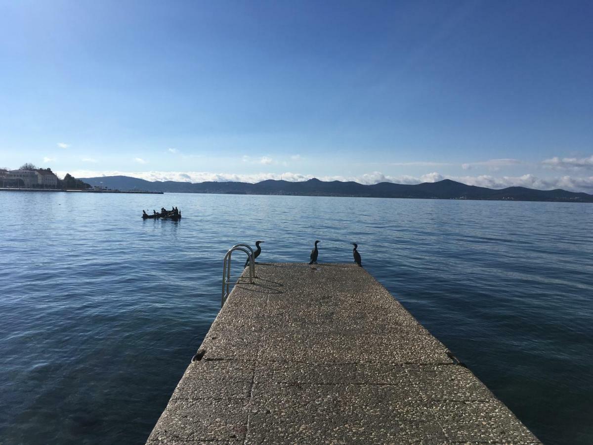 Croatian Home Apartments Zadar Bagian luar foto
